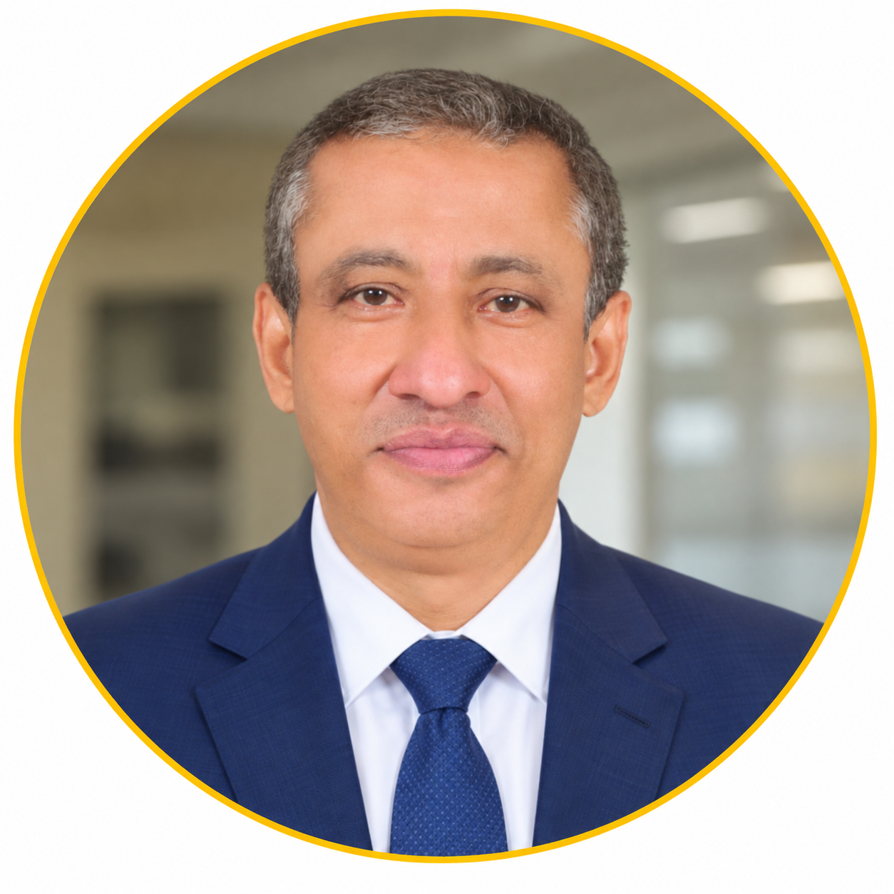 المهندس / مجدي عبدالمحسن نخلة